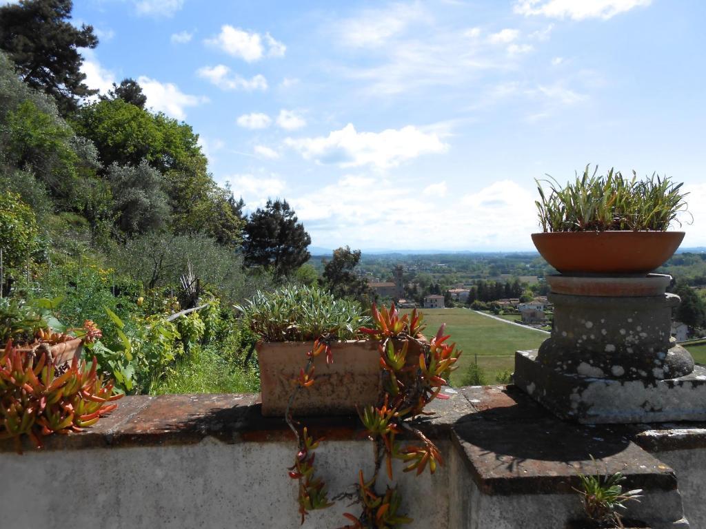 Bed and Breakfast La Pieve Di Sant'Andrea Maggiano Екстер'єр фото
